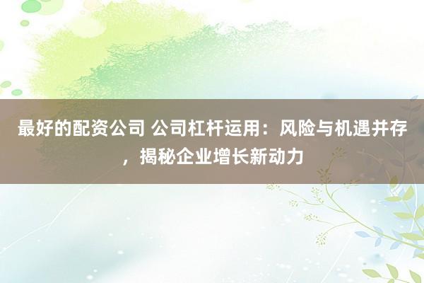 最好的配资公司 公司杠杆运用：风险与机遇并存，揭秘企业增长新动力