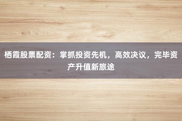 栖霞股票配资：掌抓投资先机，高效决议，完毕资产升值新旅途